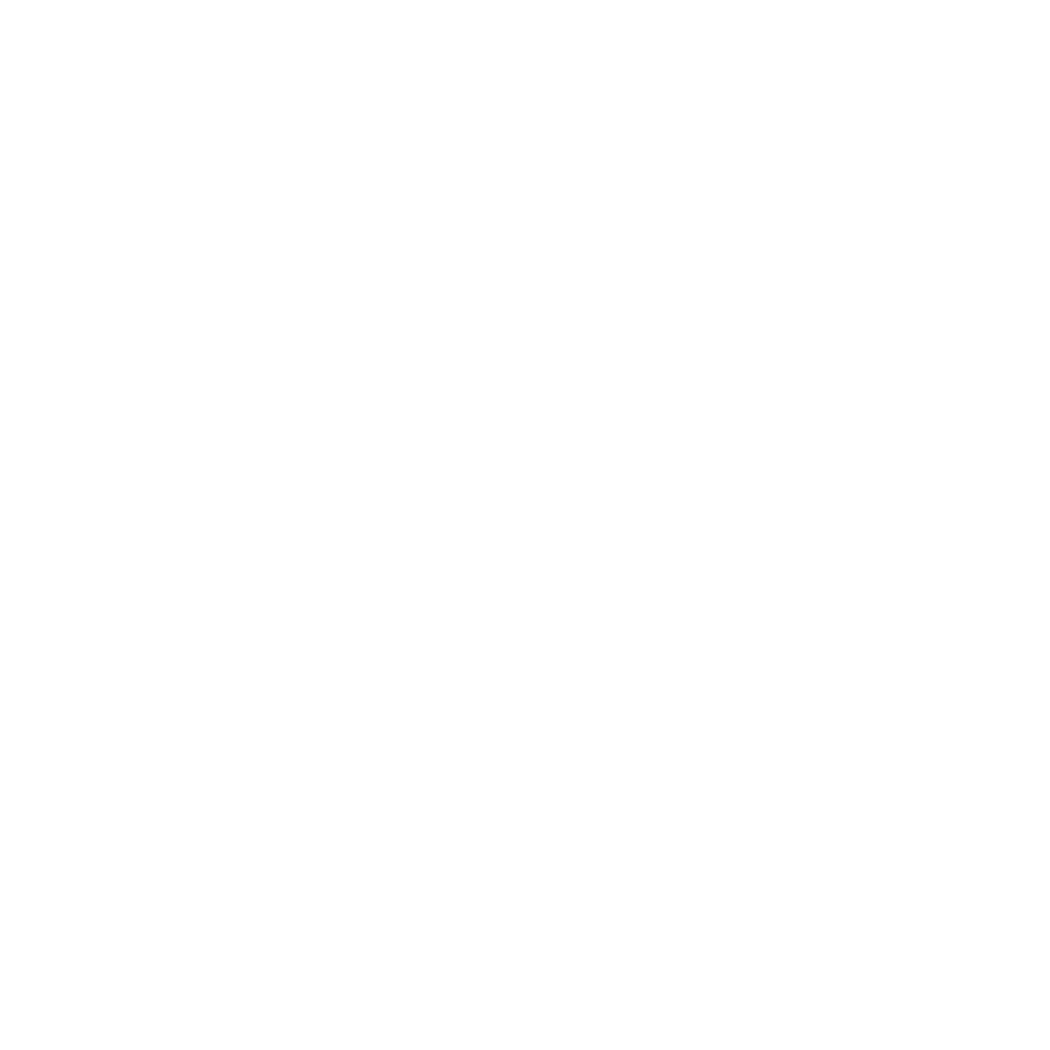 White icon of a man pointing at a chart.