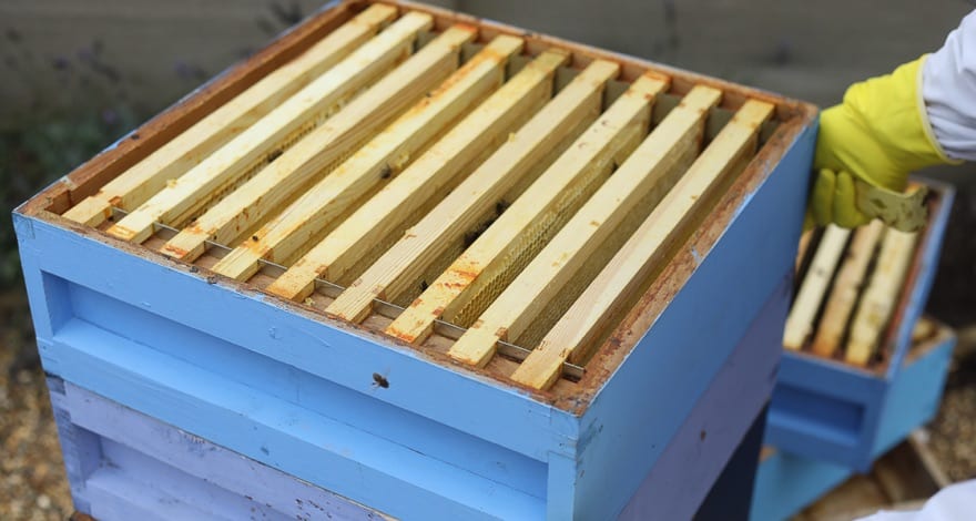 Beekeeping box, G-Hive.